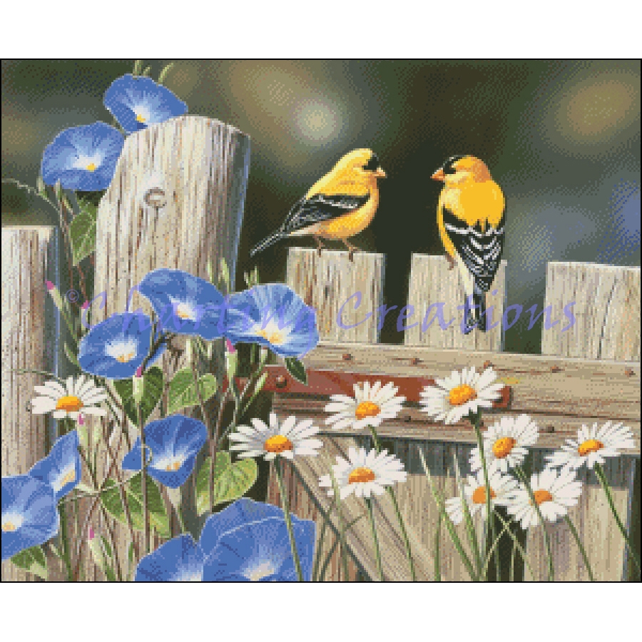 Small Morning Glories And Finches
